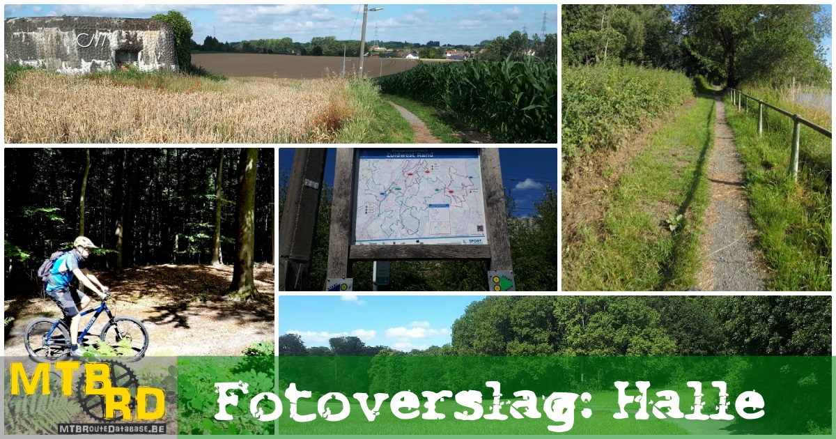 Fotoreportage Halle (Groen - Blauw - Zwart)
