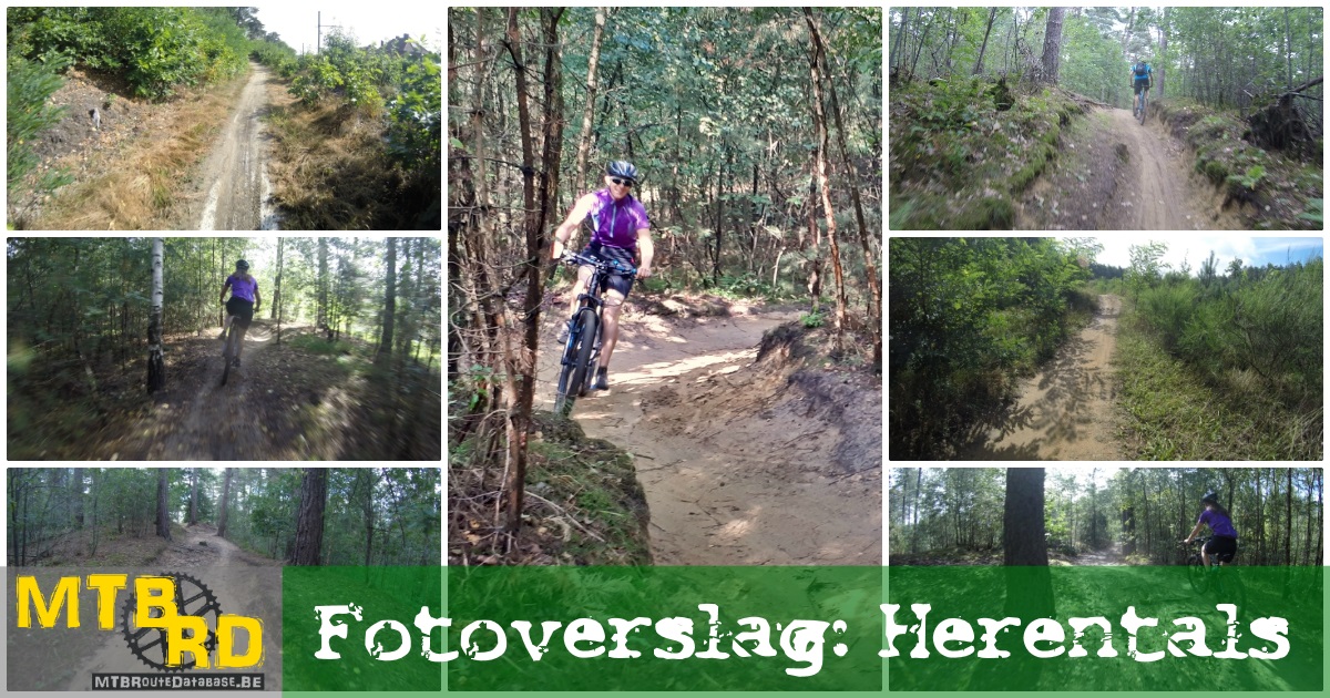 foto album collage