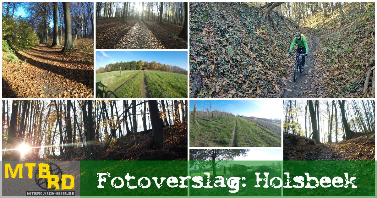 Fotoreportage Holsbeek (Groen - Blauw - Rood)