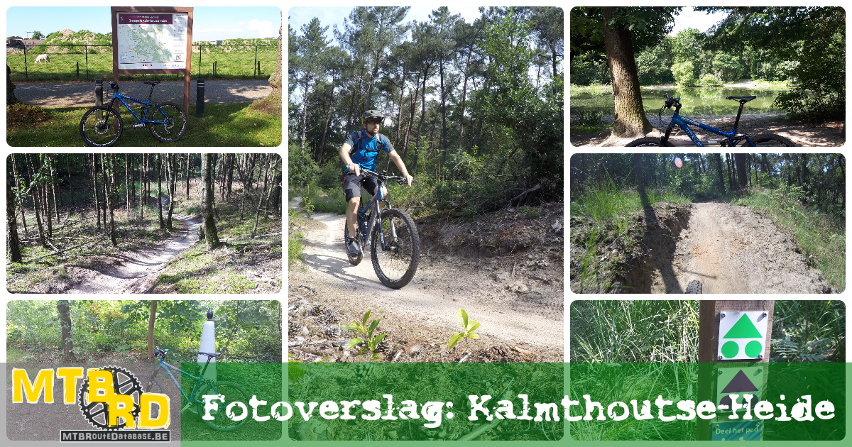 foto album collage