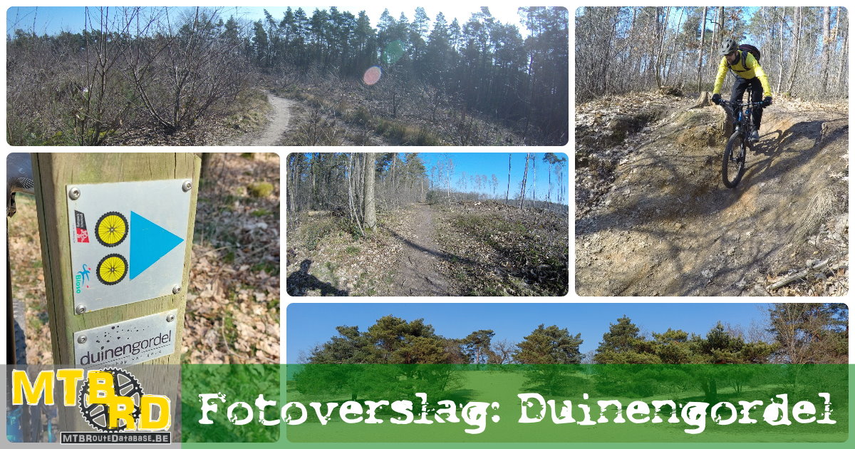 Fotoreportage Duinengordel