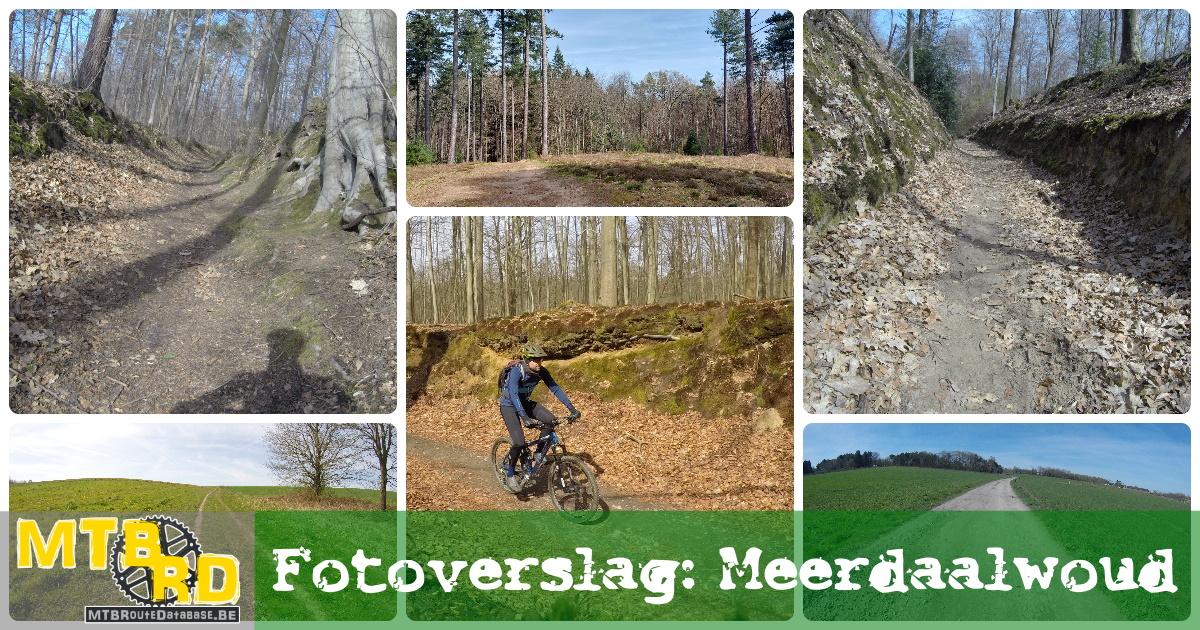 Fotoreportage Meerdaalwoud