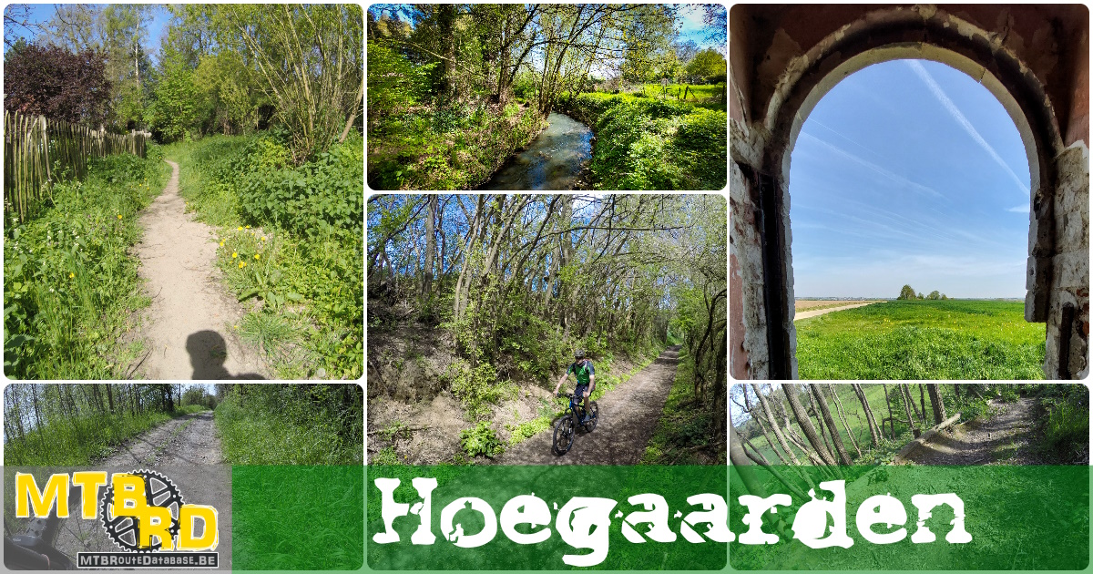 Fotoreportage Hoegaarden
