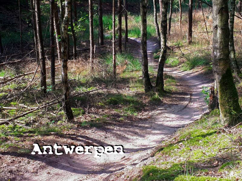 header foto