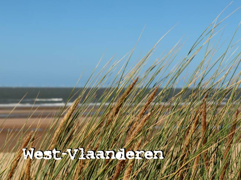 header foto
